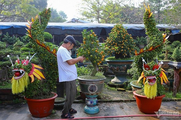 Quat dang rong doc la gia tram trieu dong mot cay o Ha Noi-Hinh-2