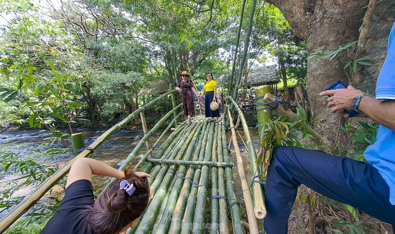 Binh Dinh: Ruc ro hoa trang rung ben suoi Ta Ma-Hinh-5