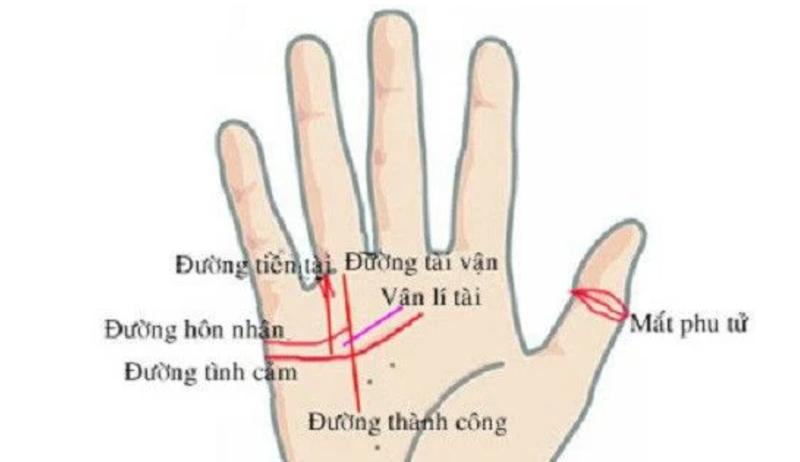 Ban tay co dau hieu “doc - la” nay: Chu nhan duoc Than Tai sung ai