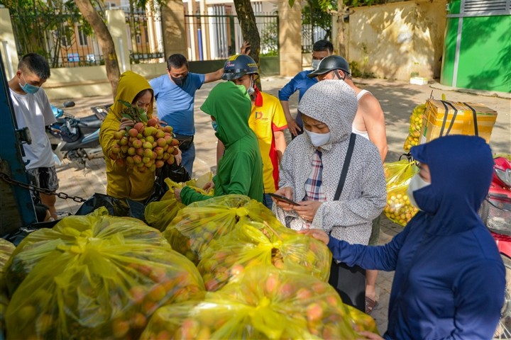 Giai cuu vai thieu Bac Giang voi gia 20.000 dong/kg o Ha Noi-Hinh-4