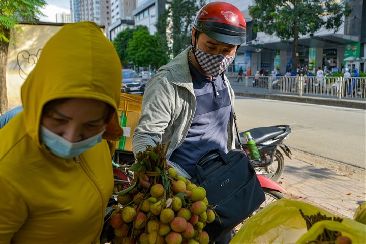 Giai cuu vai thieu Bac Giang voi gia 20.000 dong/kg o Ha Noi-Hinh-6