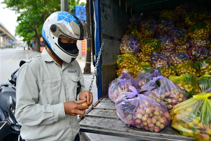 Giai cuu vai thieu Bac Giang voi gia 20.000 dong/kg o Ha Noi-Hinh-7