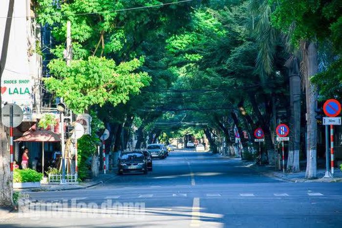 Da Nang bat dau thuc hien “ai o dau thi o do”-Hinh-8