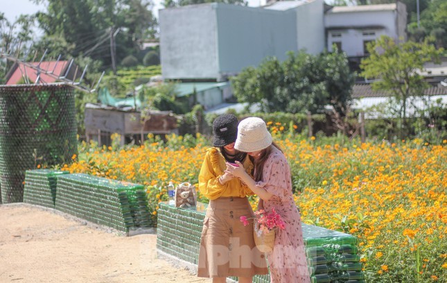 Vuon hoa Huynh Pho: “Tam diem” cua gioi tre Binh Dinh-Hinh-10