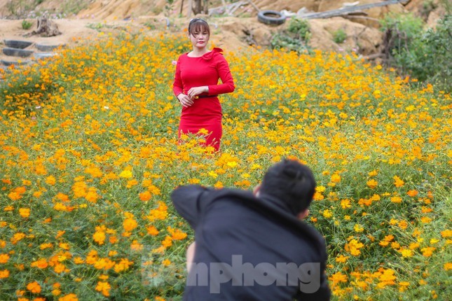 Vuon hoa Huynh Pho: “Tam diem” cua gioi tre Binh Dinh-Hinh-8