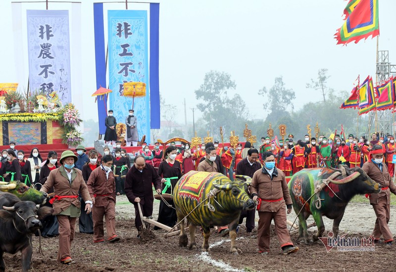 Chu tich nuoc xuong dong cay ruong o le Tich dien-Hinh-12