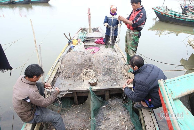 Tha tam luoi dai mot cay so, trung dam tien trieu moi ngay-Hinh-10