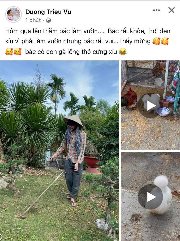 Hoai Linh lo dien tieu tuy, rau ria ram rap trong thoi gian o an-Hinh-4