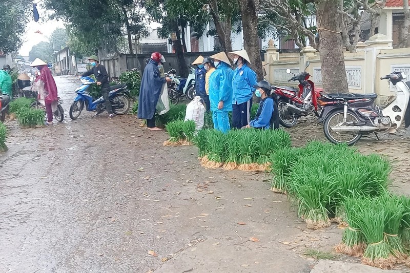 Nho lua non ban nhu rau, nong dan 'bo tui' ca tram ngan dong moi ngay