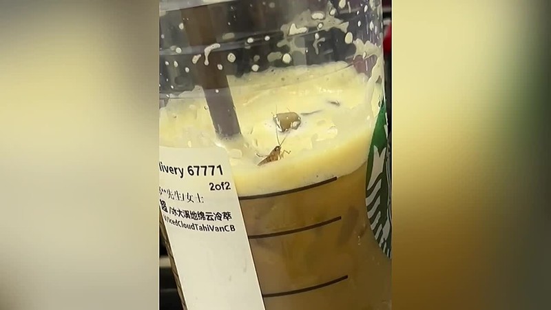Clip: Co gai ta hoa phat hien gian song trong do uong cua Starbucks