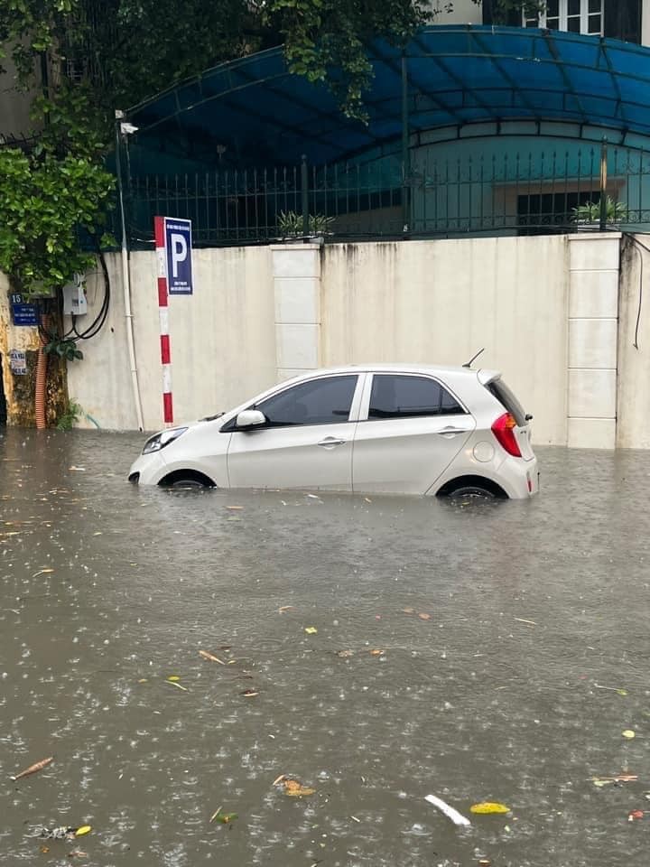 Dang long o to chim trong bien nuoc Ha Noi-Hinh-10