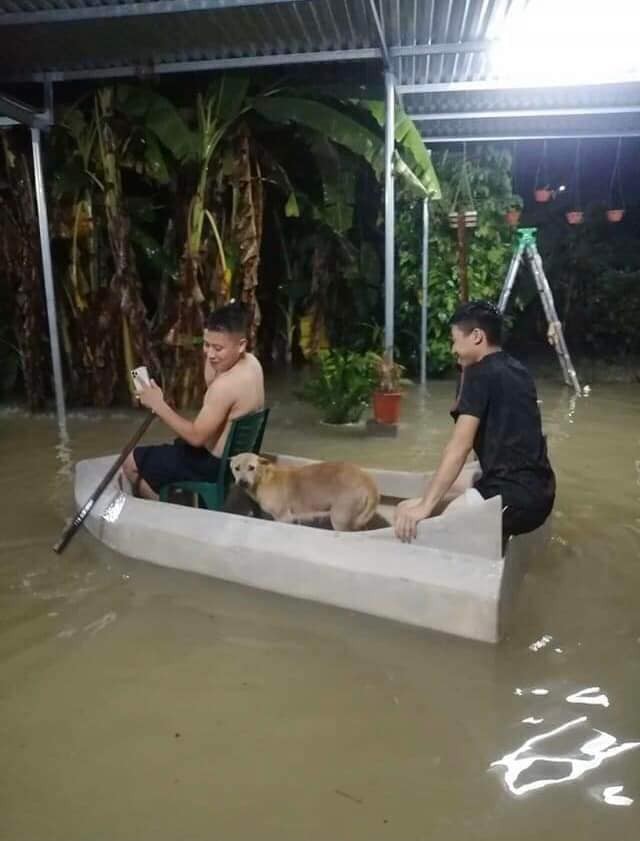 Dan Quang Ninh thuc dem “chay lut”, giao thong bi chia cat-Hinh-9