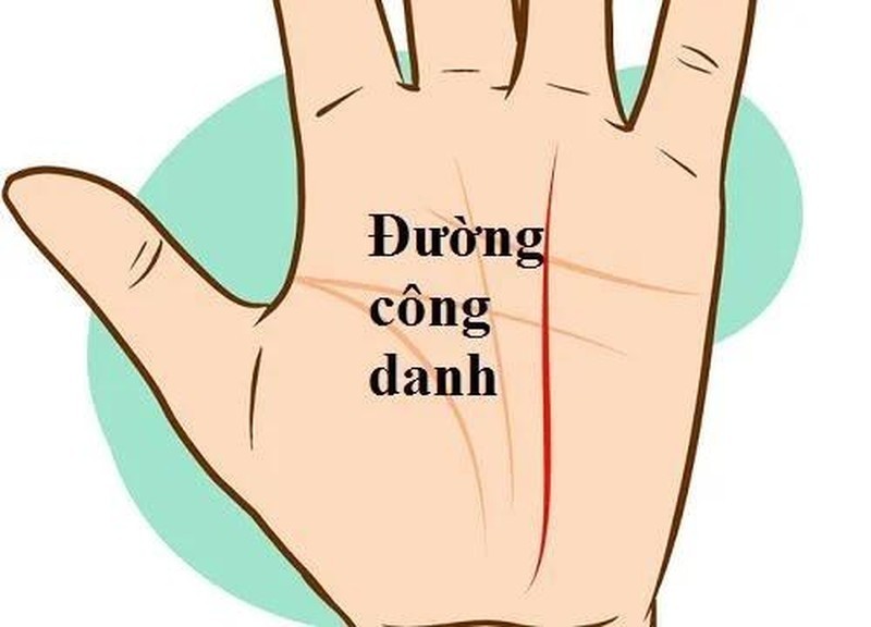 Du doan su nghiep, tien tai qua duong cong danh trong long ban tay