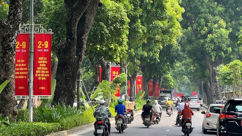 Ha Noi ruc ro co hoa chao mung Quoc khanh 2/9-Hinh-5