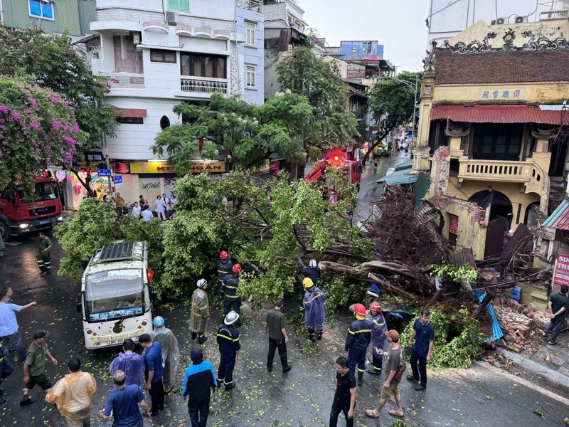 Ha Noi: Tap trung khan cap ung pho bao so 3