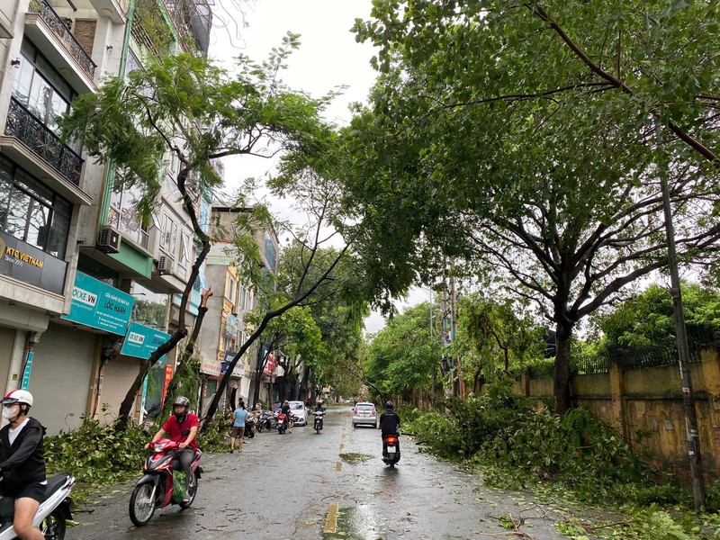 Bao so 3 Yagi di qua, duong pho Ha Noi ngon ngang-Hinh-2