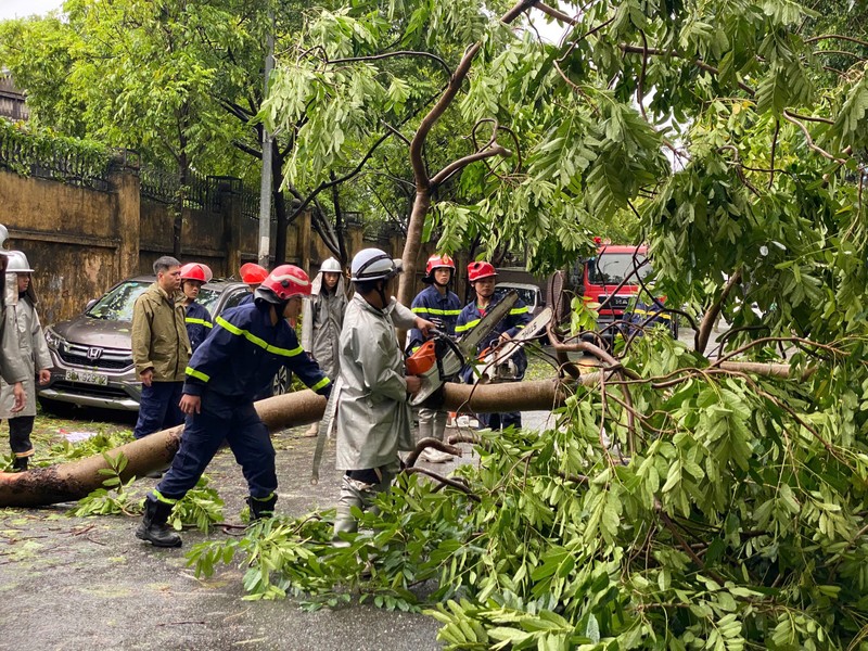 Bao so 3 Yagi di qua, duong pho Ha Noi ngon ngang-Hinh-6