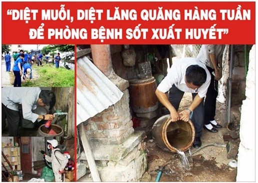 Viet Nam huong ung ngay ASEAN phong chong dich sot xuat huyet-Hinh-2