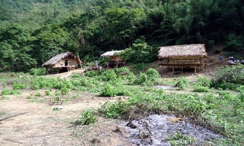 Kich ban man ro vu ha sat 4 nguoi rung dong xu Nghe