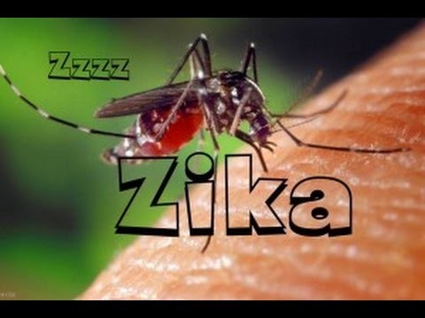 Bo Y te chi dao phong ngua virus Zika an nao nguoi