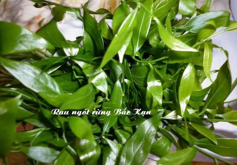 Tac dung chua benh khong ngo cua rau ngot rung-Hinh-7