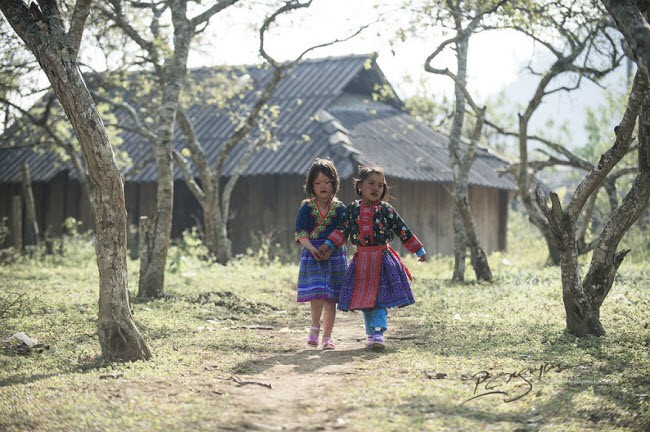 Den Moc Chau kham pha Tet cua nguoi Mong-Hinh-15