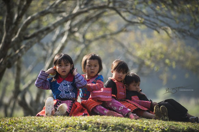 Den Moc Chau kham pha Tet cua nguoi Mong-Hinh-4