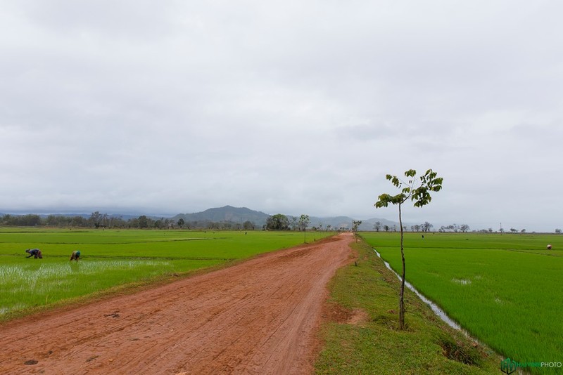 Anh tuyet dep: Vien ngoc bich cua nui rung Tay Nguyen-Hinh-15