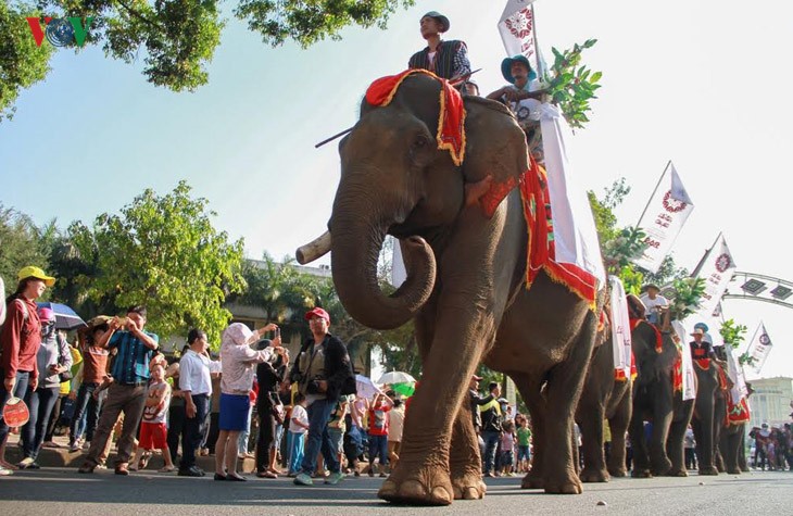 Anh voi dieu hanh tren duong pho Buon Ma Thuot-Hinh-3