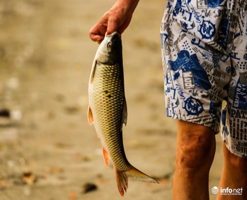 Ha Noi: Sau dung 1 nam, ca lai chet trang mat ho Hoang Cau-Hinh-5