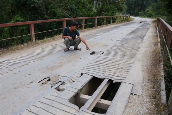 Ai du dung cam di qua nhung cay cau nhu the nay?-Hinh-9