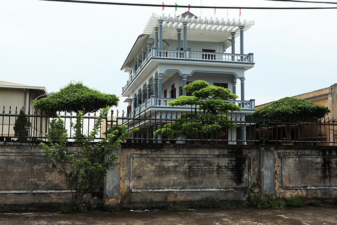 Choang ngop lang Meo toan biet thu giua canh dong que lua-Hinh-2