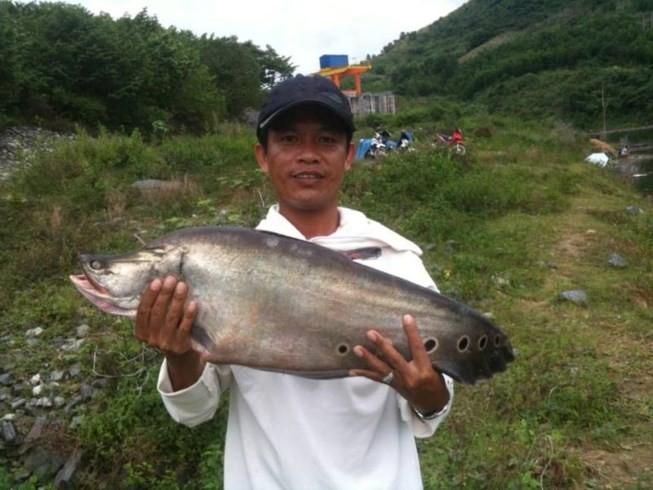 Quang Nam: Bat duoc ca thac lac "khung" nang hon 7kg