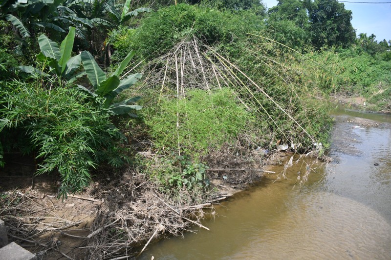 Quang Ngai: Nhuong dat cho cao toc, dan tai dinh cu phai doi mat sat lo-Hinh-3