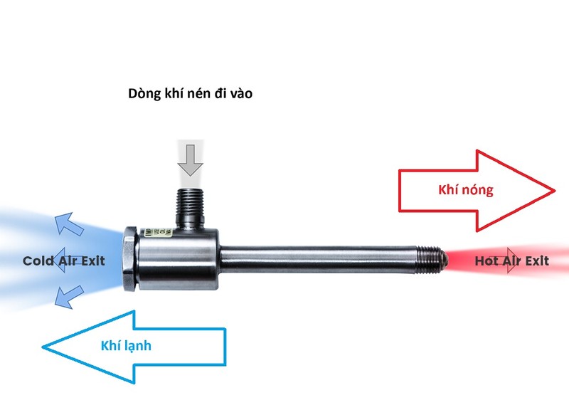 Chiec ong 'quy di' tram tuoi: 1 dau phun lanh, 1 dau nong rat