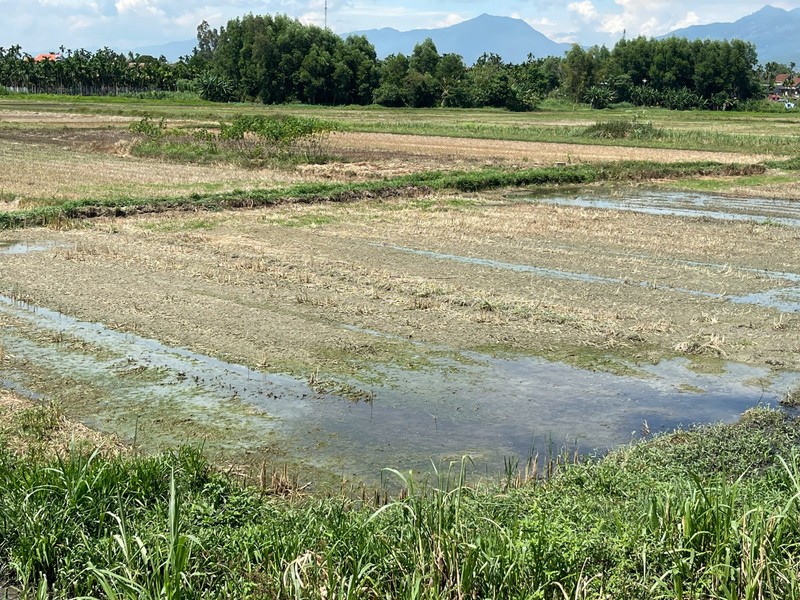 Quang Ngai: O nhiem tu cac diem dung nghi, tam gia suc-Hinh-4