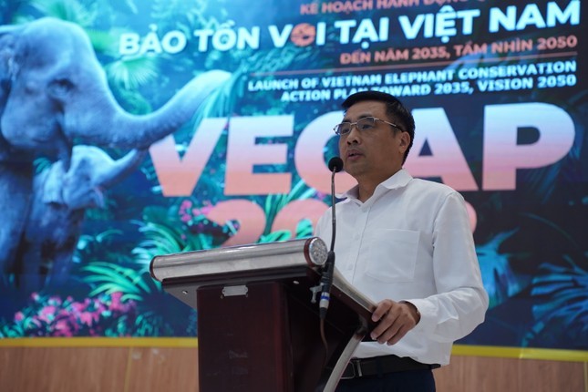 Voi Viet Nam giam 'soc': 200 ca the, bao ton the nao?