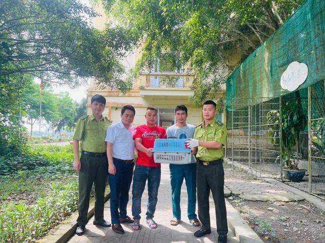 Trăn gấm quý hiếm đột nhập "xơi tái" 10 con gà ở Hà Tĩnh - Hình 2 Tran gam quy hiem dot nhap
