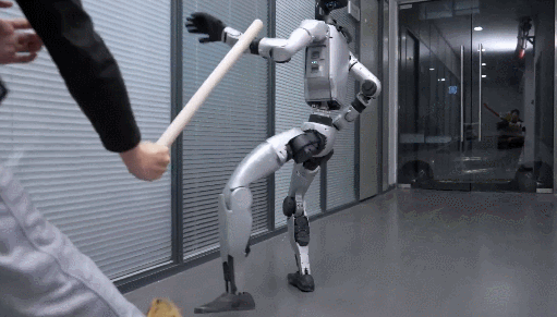Robot Trung Quoc lai noi doa, dung dung duoi danh ca ky su-Hinh-10