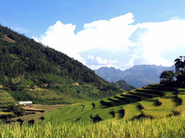 Chiem nguong ve dep ngo ngang cua coi mo Si Ma Cai Lao Cai-Hinh-7