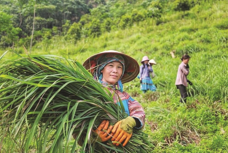 Nhung dieu it biet ve Lao Cai, nhat la ten goi xua cu-Hinh-3