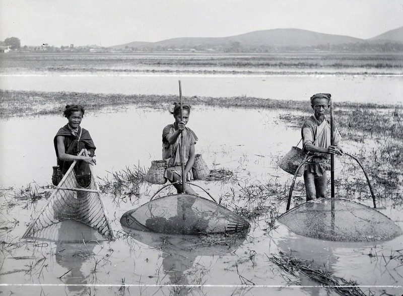 Quai dan bai thuoc chua khoi benh “kho noi” cua vua Tran Du Tong-Hinh-8