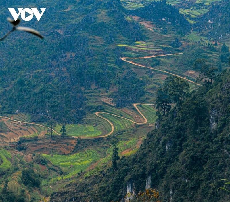 Ve dep cua nhung cung duong deo, doc tren cao nguyen da Ha Giang-Hinh-10