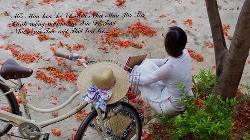 Nha tho Thanh Tung va moi tinh dam duoi “Thoi hoa do”-Hinh-7