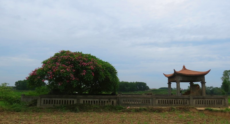 Tha chet khong de nhuc menh vua, Tham hoa Giang Van Minh khi phach sao?-Hinh-12