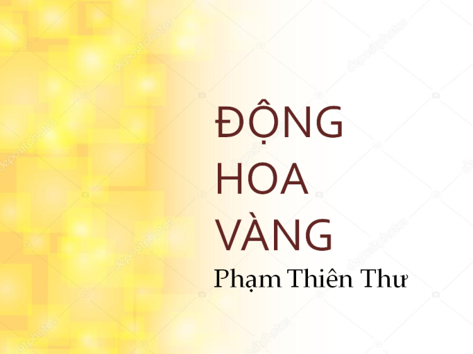 Ky thu “Dong hoa vang” cua nha tho Pham Thien Thu-Hinh-2
