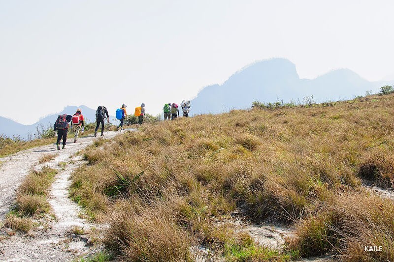 Sung sot ve ma mi cua nui Lao Than cao 2860m-Hinh-7