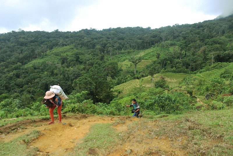 San lung cung kho mua, mat ong dang co gi sieu hiem?-Hinh-2