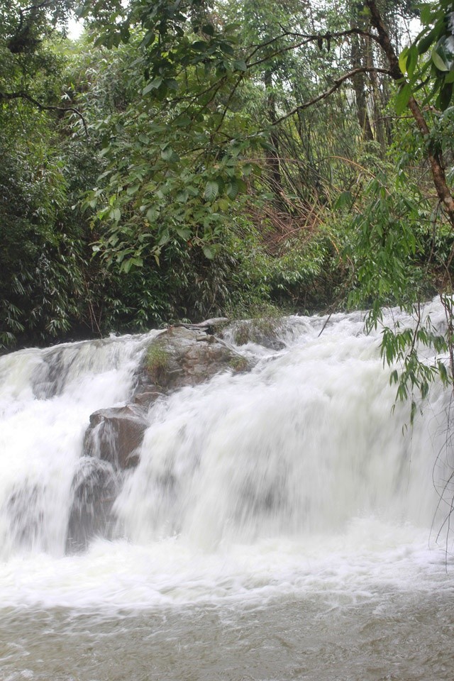 Giai ma canh tien huyen ao sau ngoi chua noi tieng Lam Dong-Hinh-6