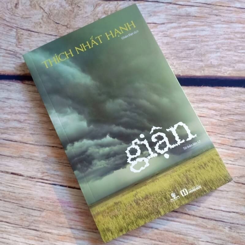 Thien su Thich Nhat Hanh: Dung de “Gian” thieu dot ban than-Hinh-11